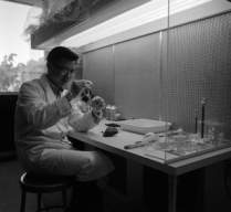 allende   Jerry Han  BERKELEY 96A04910.lowres.jpg